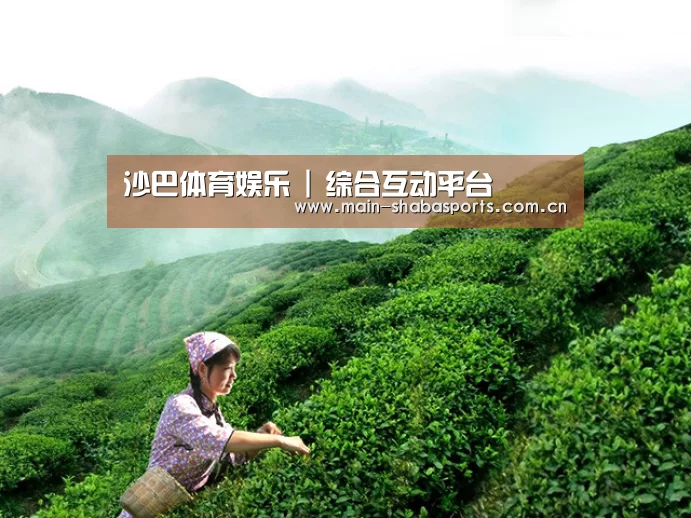 沙巴体育娱乐 | 综合互动平台