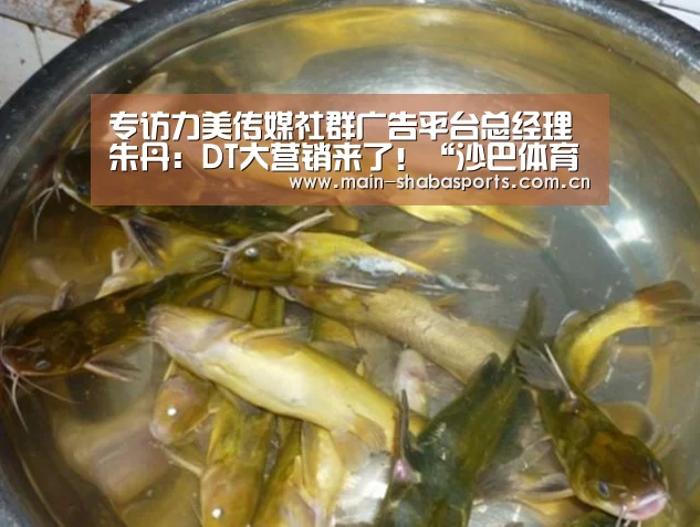 沙巴体育平台