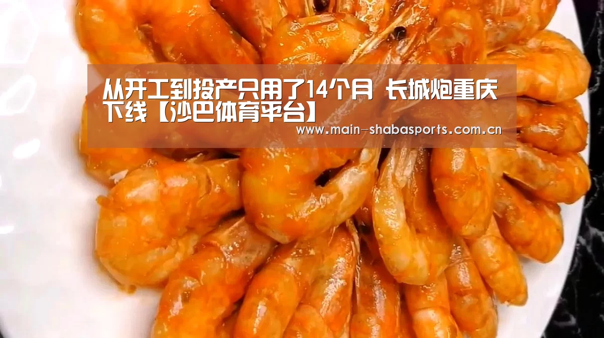 沙巴体育平台