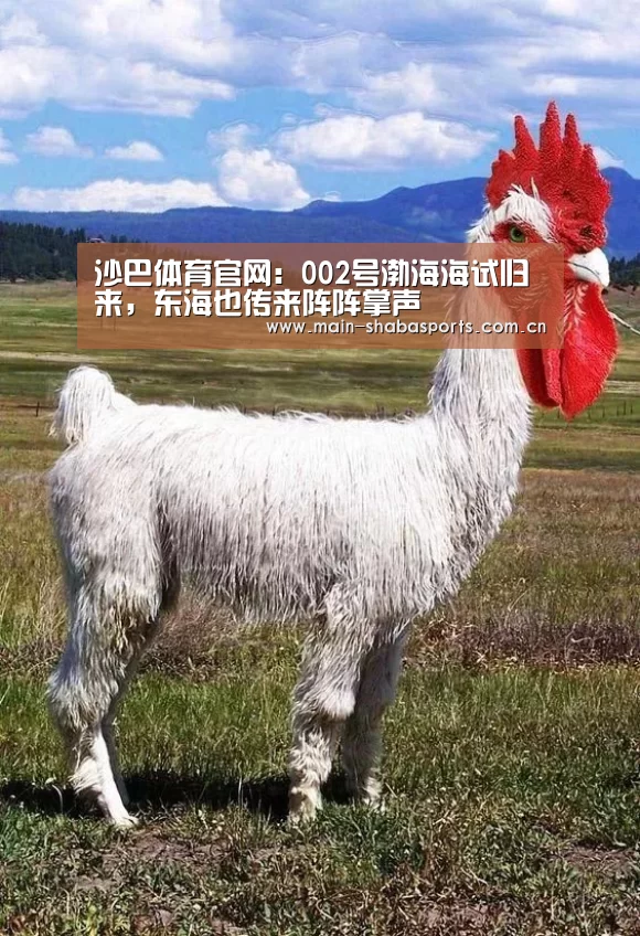 沙巴体育官网:002号渤海海试归来,东海也传来阵阵掌声(图2) 沙巴体育app