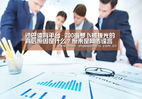 沙巴体育平台
