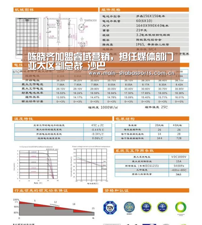 陈晓齐加盟睿域营销，担任媒体部门亚太区副总裁_沙巴